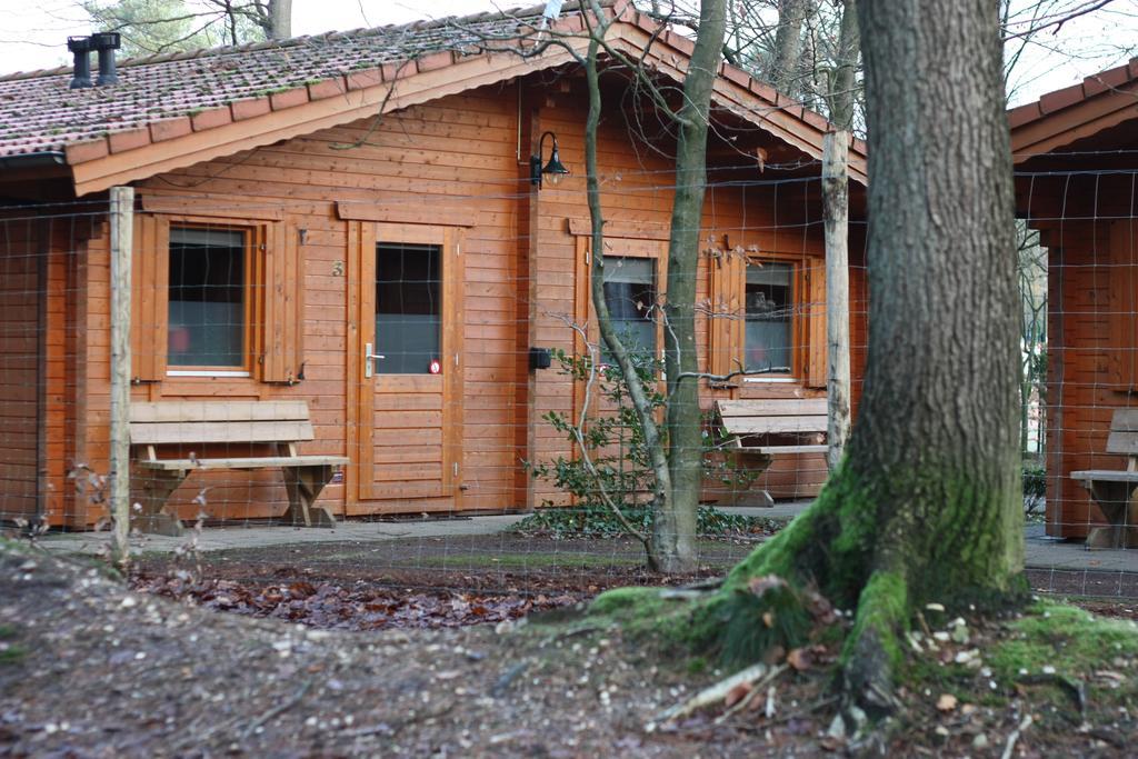 Lodges Veluwse Poort Dieren Eksteriør billede