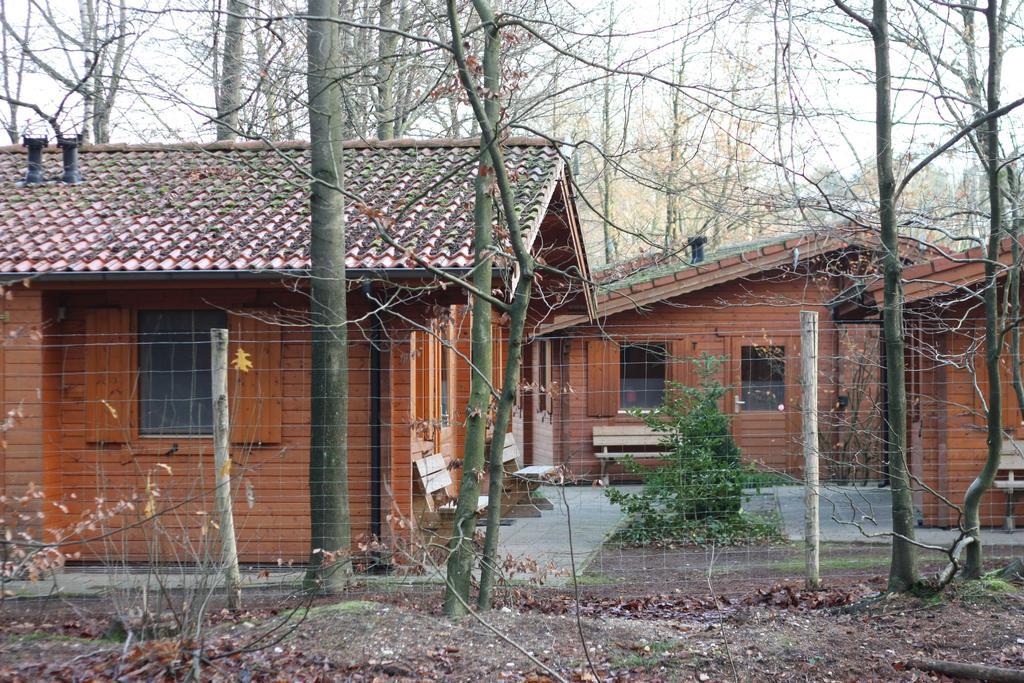Lodges Veluwse Poort Dieren Eksteriør billede